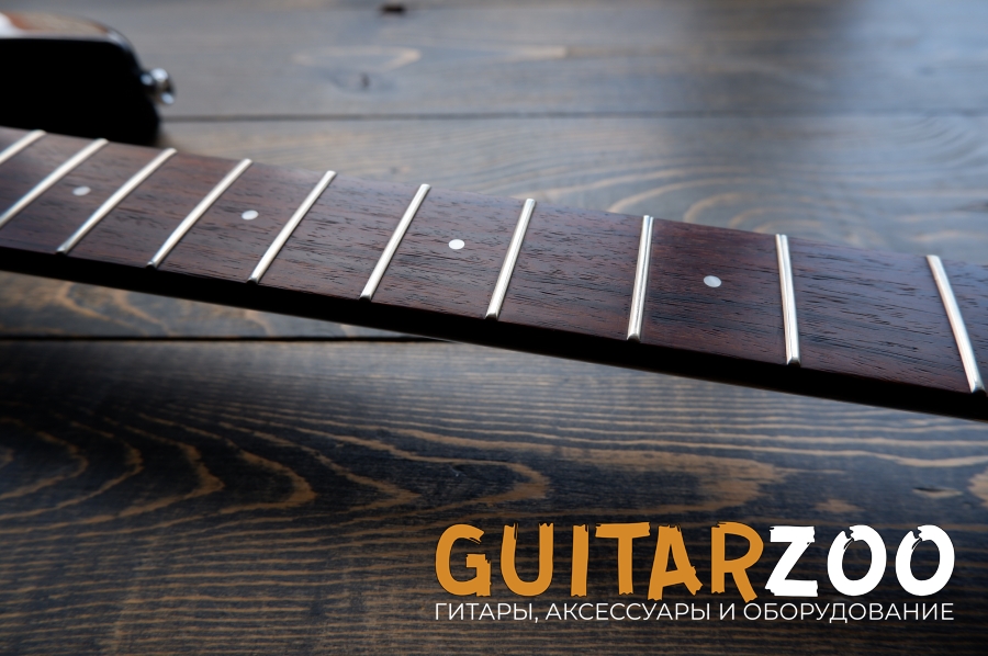 Black Dog by Aria Pro II BLK