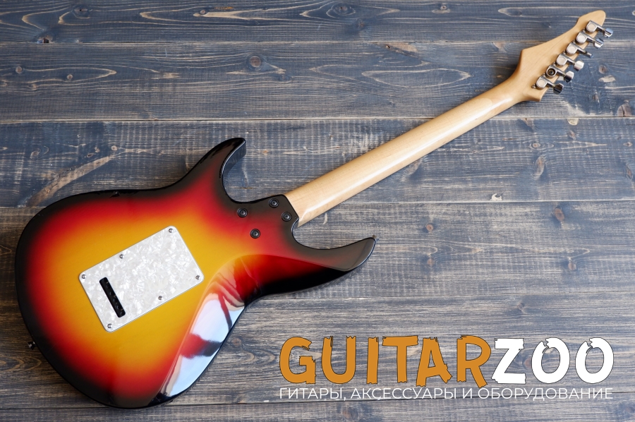 Aria Pro II VP-450 Viper Series