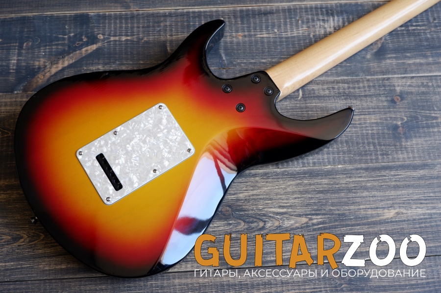 Aria Pro II VP-450 Viper Series