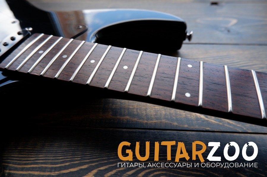 Black Dog by Aria Pro II BLK